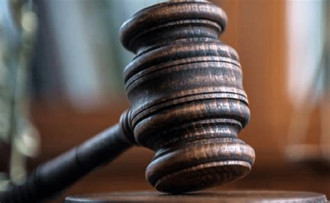 Daily Court Digest: Major environment orders (August 29, 2024).